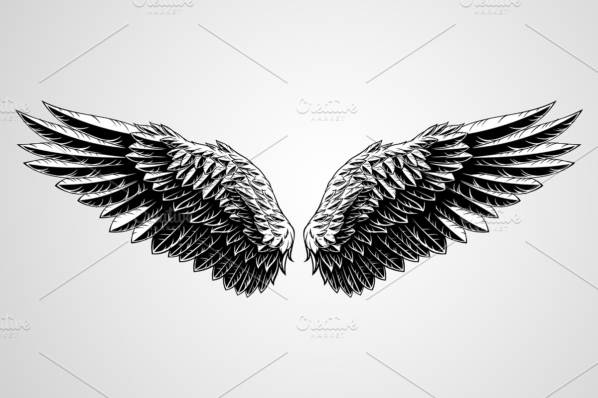Angel wings, an Animal Illustration by Mark2000