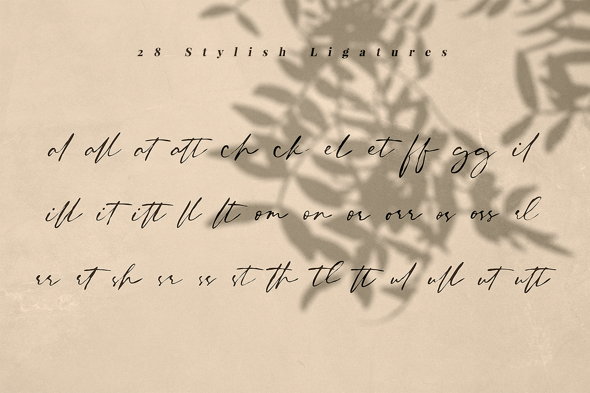 Anomutta Script preview 4