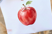 Back to School Aesthetic Clipart, a Seasonal Illustration by Tanya Kart (Thumbnail 4 of 15)
