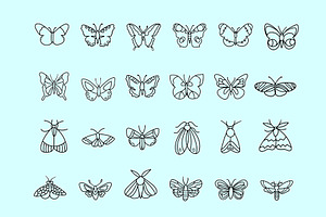 Butterflies Vector Illustrations