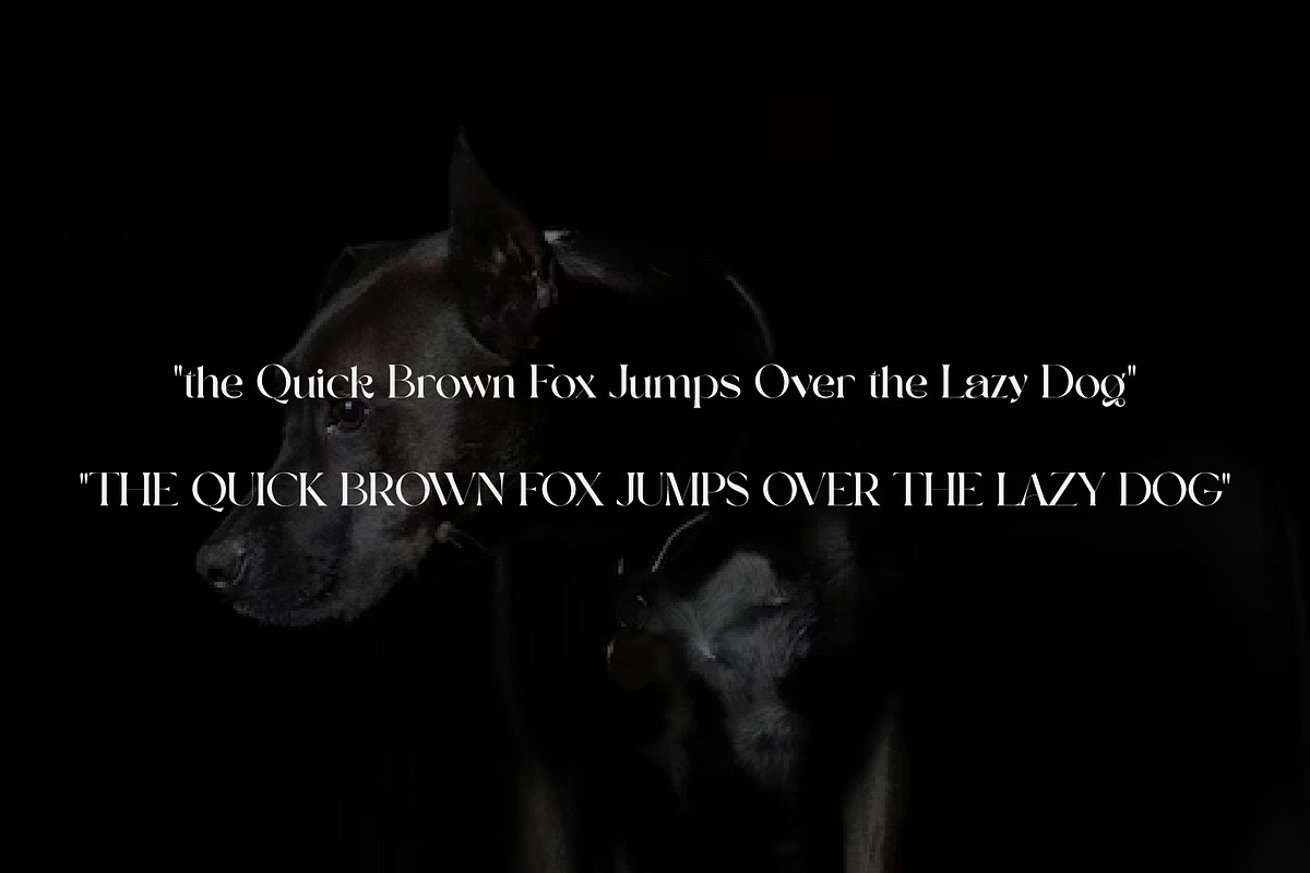 Angkle's, a Serif Font by jaffana.co (Photo 2 of 6)
