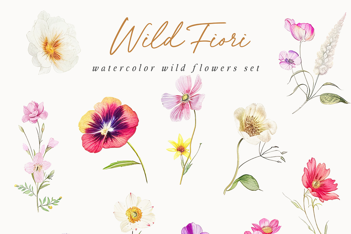 New! Wild Flowers Edition, a Seasonal Illustration by Isabelle Salem (Photo 130 of 155)