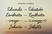 Delicy, a Script Font by Locomotype (Thumbnail 6 of 10)