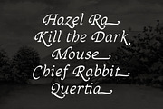 Sandleford Italic, a Serif Font by Simon Walker (Thumbnail 4 of 9)