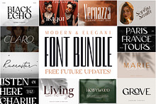Modern & Elegant Font Bundle