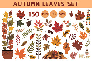Autumn Leaves Clipart Bundle