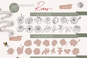 Rose Blossom, a Decorative Illustration by JuDesign (Thumbnail 2 of 21)