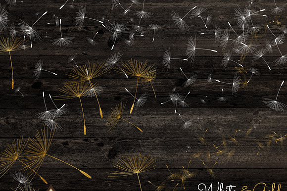 Dandelion Overlays And Brushes preview 3