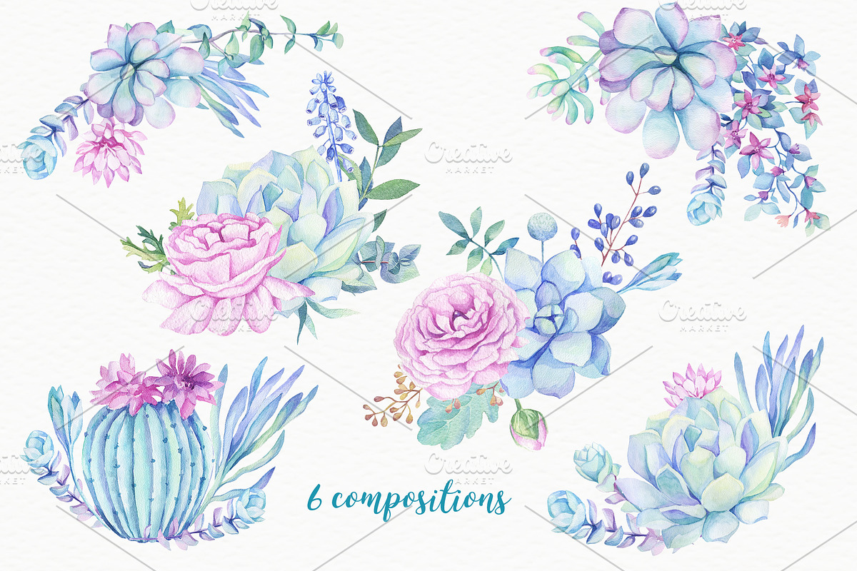 SALE! Succulents & Cactuses, an Illustration by Irina Diasli (Photo 2 of 8)