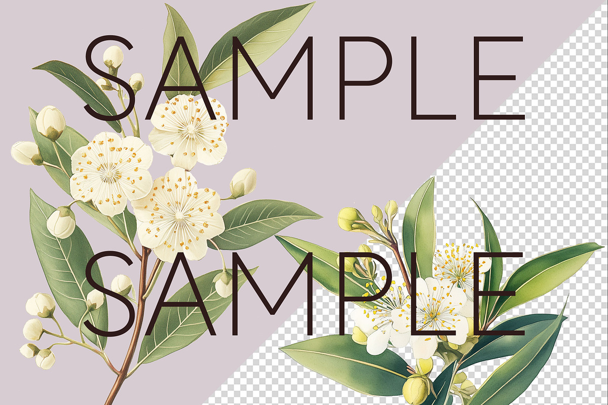 Lemon Myrtle Australian Clipart, a Decorative Illustration by Pawcasso's Portraits (Photo 3 of 6)