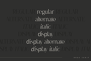 Dree serif typeface - 6 fonts, a Serif Font by Only Fonts (Thumbnail 5 of 10)