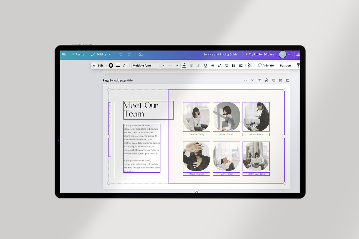 Service and Pricing Guide Canva, a Presentation Template by Lunaria (Photo 7 of 7)
