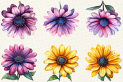 African Daisy Flower Bloom Clipart, an Illustration by OK Design (Thumbnail 5 of 5)