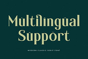 Gikefta Modern Classic Serif Font, a Serif Font by Letterena Studios (Thumbnail 12 of 15)