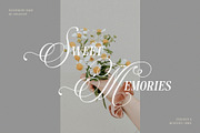 Westerlife - Elegance Serif, a Serif Font by epicatype (Thumbnail 4 of 10)