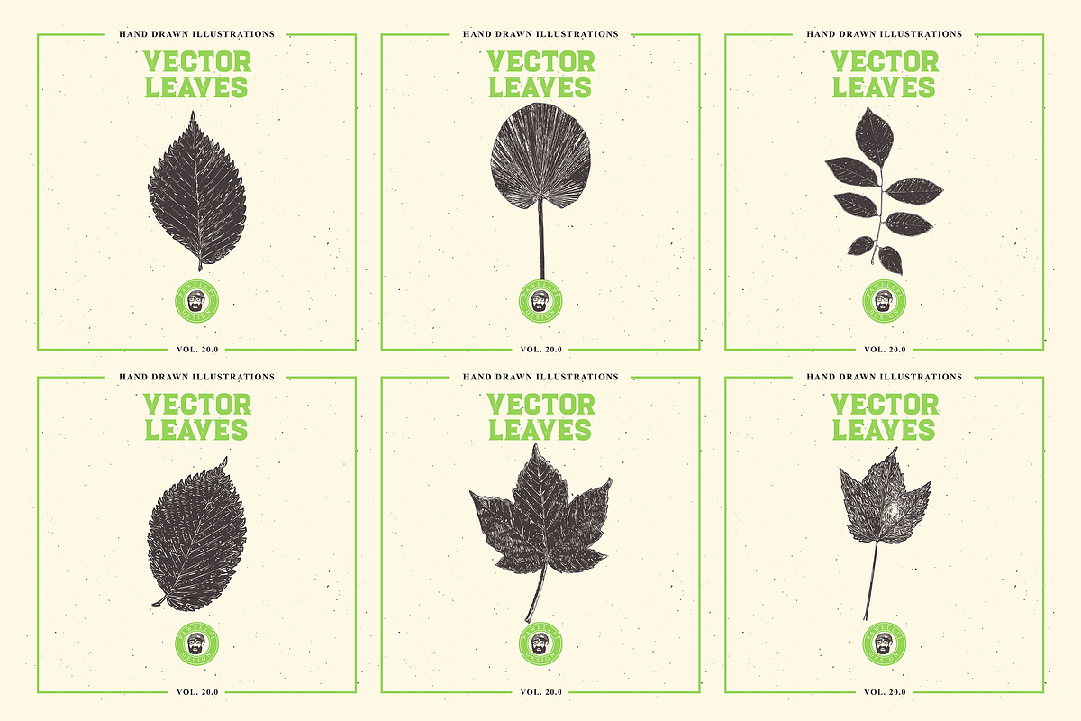 VECTOR LEAVES HAND DRAWN BUNDLE v20, a Decorative Illustration by pawellpi (Photo 6 of 7)