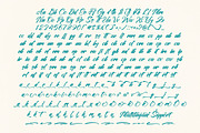 Contynew Kastifu Bold Calligraphy, a Script Font by stylishtype.co (Thumbnail 9 of 15)