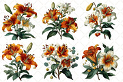 Watercolor Lily Flower Clipart, an Illustration by Black Bird Studio (Thumbnail 3 of 5)