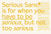 Serious Sans - Modern Typeface, a Sans Serif Font by Tropical Type (Thumbnail 2 of 13)