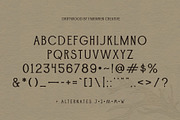 Driftwood, a Serif Font by Fairwren Creative (Thumbnail 6 of 6)