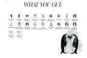 Watercolor Penguin Life Cycle Set, an Education Illustration by Tati Bordiu (Thumbnail 5 of 5)