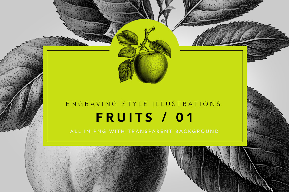 Fruit illustrations - engravings/01, a Food Illustration by Graxaim Mock-up (Photo 1 of 4)