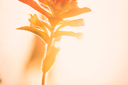 Signs Of Autumn preview 3