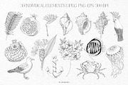 Summer Island Illustrations, an Animal Illustration by GVGraphics (Thumbnail 3 of 9)
