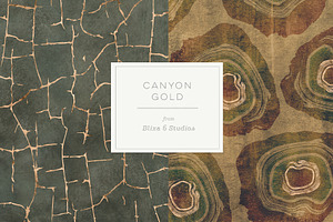 Canyon Gold Palm & Snake Graphics