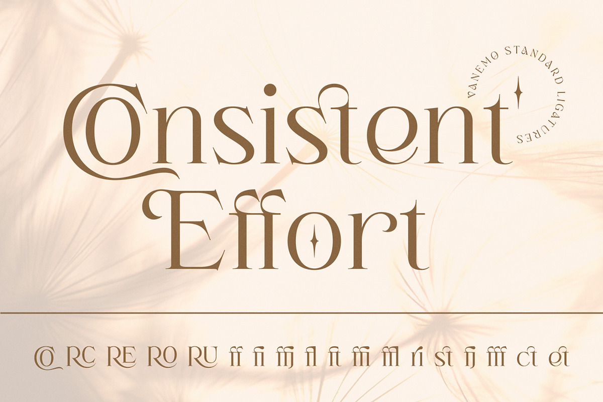 Vanemo Modern Serif Typeface, a Font by Shiningtown Creative (Photo 13 of 15)