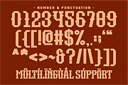True Story - Western Slab Serif, a Slab Serif Font by Pian45 Studio (Thumbnail 8 of 8)