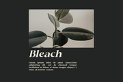 Chafira, a Serif Font by Zafiratype (Thumbnail 2 of 10)