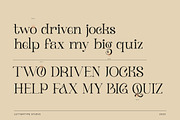Klandestin Modern & Classical Serif, a Serif Font by Lettertype Studio (Thumbnail 5 of 20)