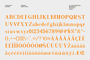 Celtho - Modern Serif Font Family, a Serif Font by Indotype Foundry (Thumbnail 6 of 10)