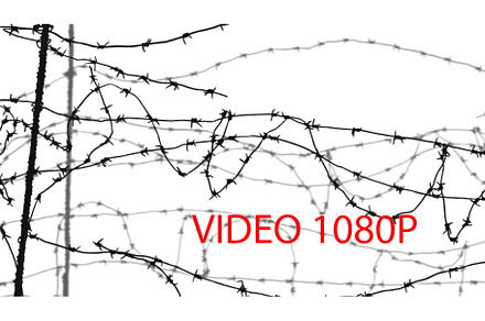 barbed wire on white background