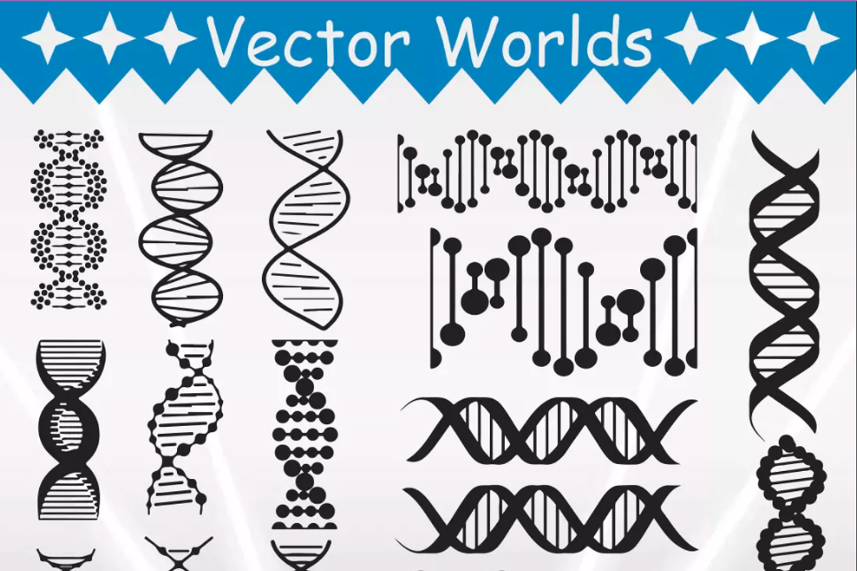 DNA Svg, Biology, Nerd Svg, an Object Graphic by VectorWorlds (Photo 2 of 3)