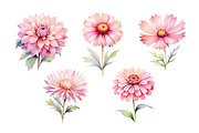 Watercolor Flowers Clipart PNG Set., a Decorative Illustration by kaisorn (Thumbnail 4 of 5)