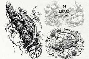 Lizard Vintage Engraving Bundle, an Animal Illustration by DENIDigitalArtSudio