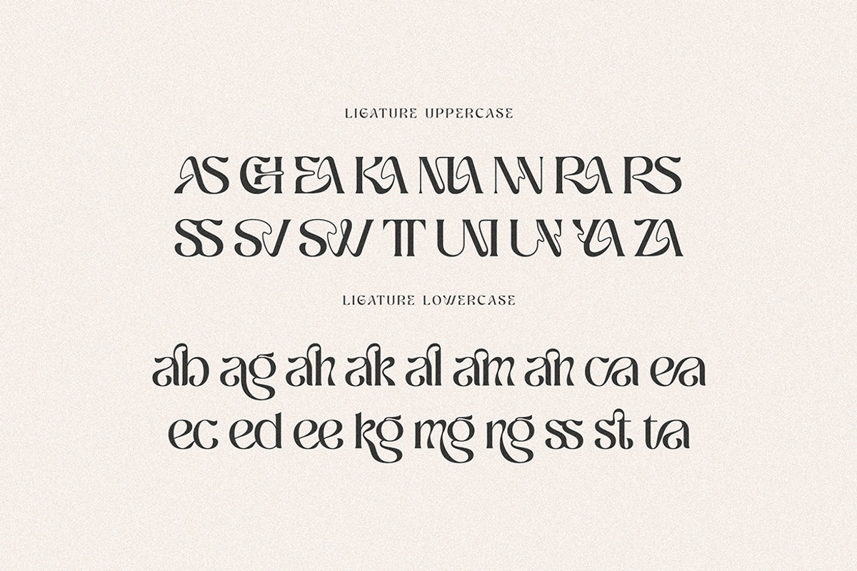 Ragnheidr Unique Serif, a Serif Font by Cruzine (Photo 7 of 8)