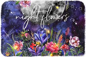 Night flowers
