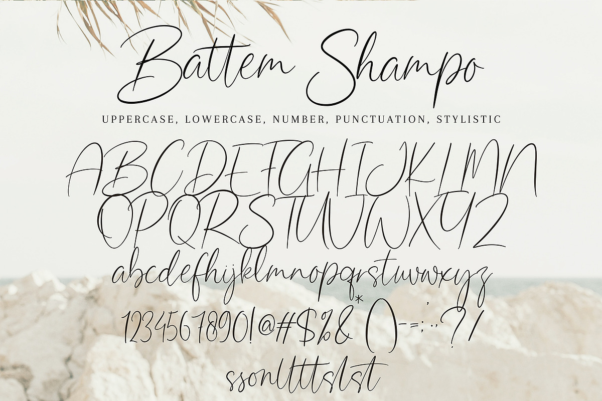 Battem Shampo, a Script Font by pineungtype (Photo 10 of 10)