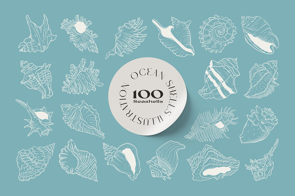 Ocean Shells Illustration, an Object Illustration by KetteCreate (Photo 12 of 17)
