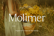 Molimer Family Serif Font, a Serif Font by Marvadesign (Thumbnail 1 of 11)