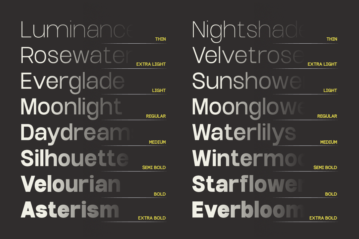 GC MOX – Bold Variable Energy, a Sans Serif Font by Glyphonic (Photo 14 of 15)