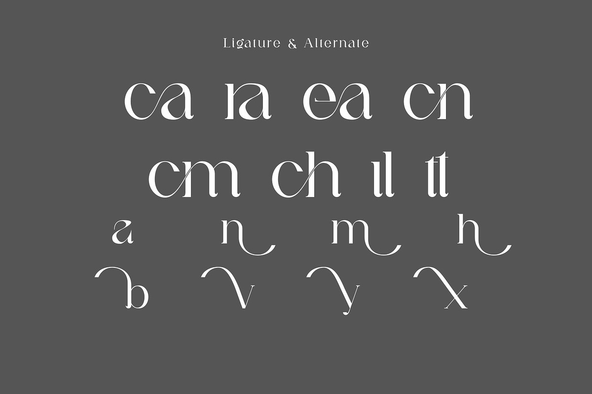 Neuva Ligature Serif Typeface, a Serif Font by yaqublekker (Photo 10 of 10)