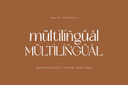 Pamore | Elegant Ligature Sans Serif, a Sans Serif Font by Typoraith Co (Thumbnail 13 of 13)