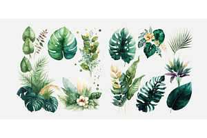 Watercolor Tropical Floral