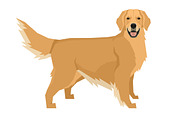 Dog breeds Golden Retriever, an Animal Illustration by Nenilkime (Thumbnail 2 of 3)
