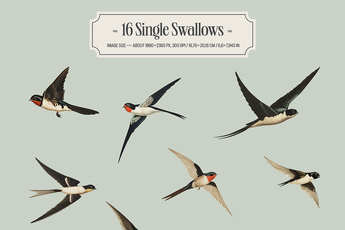Swallows - vintage illustrations, an Animal Illustration by AI Crafted Magnolia (Photo 3 of 13)