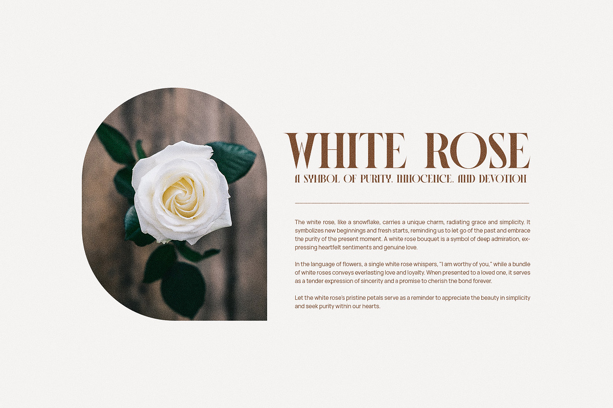 Jisoya Elegant Serif Font Typeface, a Serif Font by Graphicxell (Photo 4 of 10)